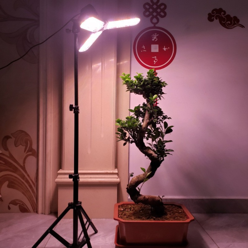 Light Bulb Stand 2M, E27 AC So - Photography Bulb ulasan dan harga