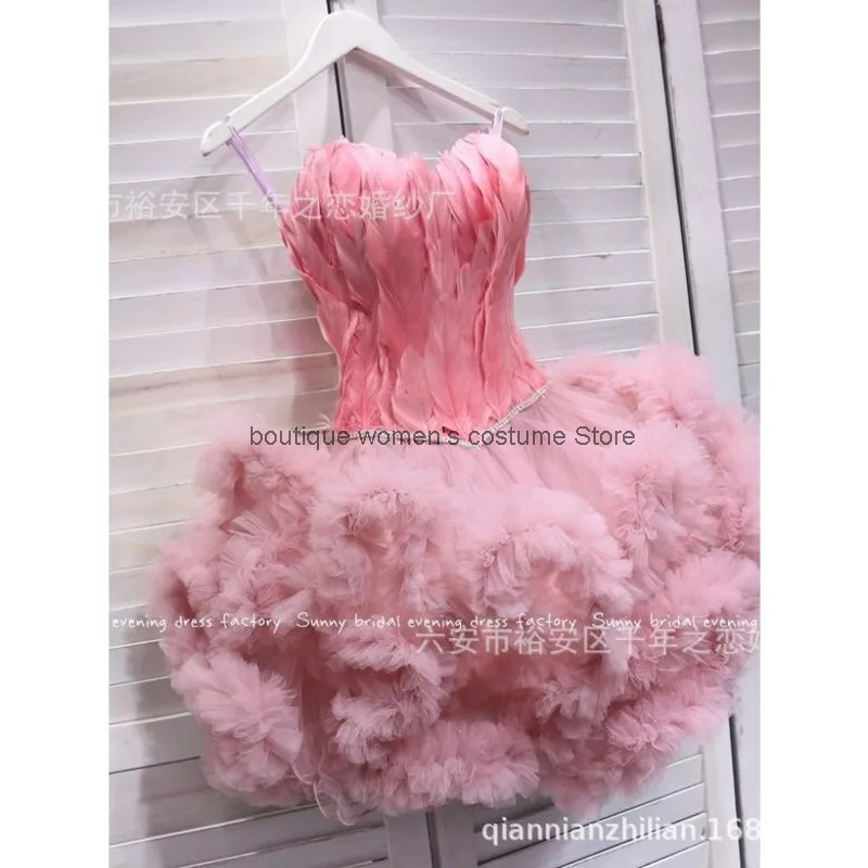 Cos Princess Dress Travel Phot - Photography Fashion ulasan dan harga