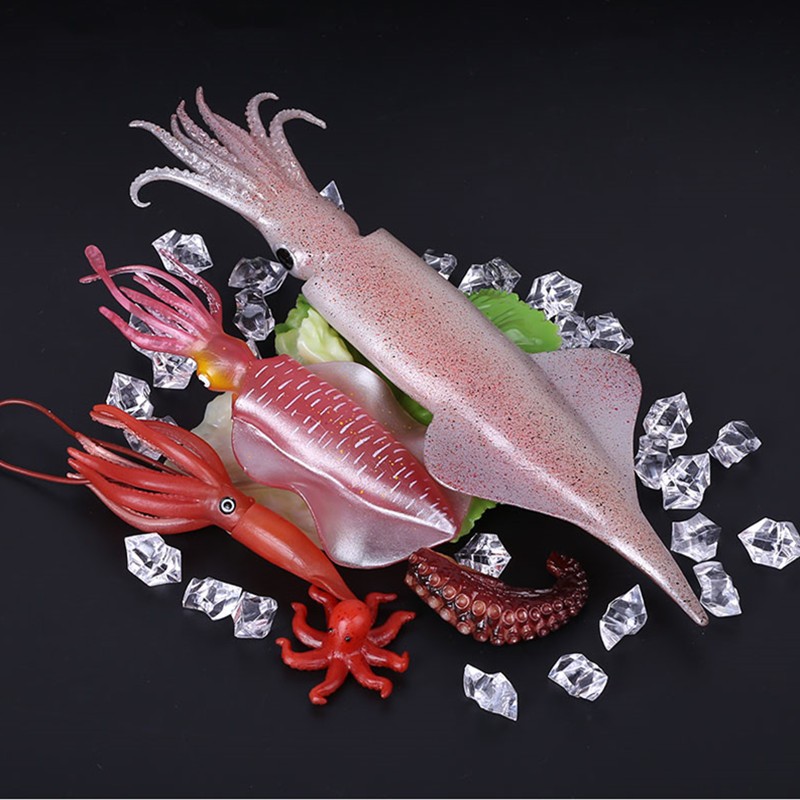 Simulation Squid Model Kitchen - Photography Of Food ulasan dan harga