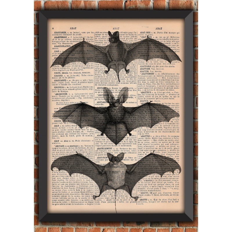 Bat Skeleton Dark Gothic Odd S - Photography Night ulasan dan harga